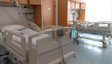 Krone zeitung hetzt und verbreitet irreführende Zahlen.