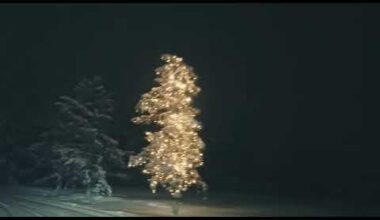 "Nothing ever happens" - das Paradoxon völliger Meinungsäußerungsfreiheit