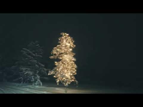 "Nothing ever happens" - das Paradoxon völliger Meinungsäußerungsfreiheit