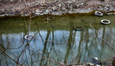 Proiect de reabilitare a râului Bâc: Chișinăul a lansat licitația internațională pentru procurarea de echipamente specializate