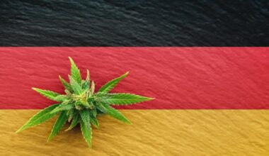 Study: Germany Marijuana Legalization Hasn’t Increased Driving While High