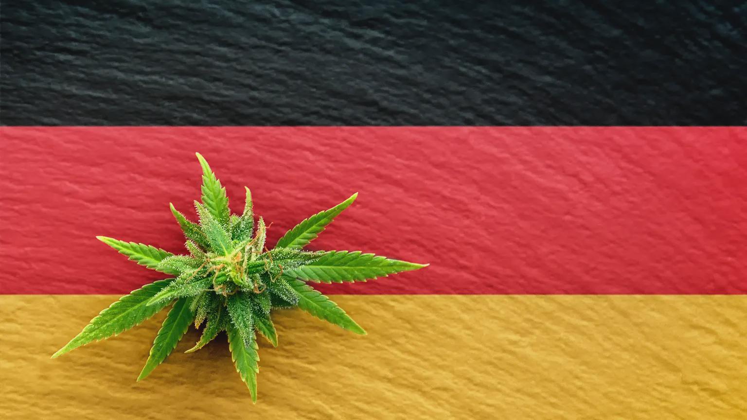 Study: Germany Marijuana Legalization Hasn’t Increased Driving While High