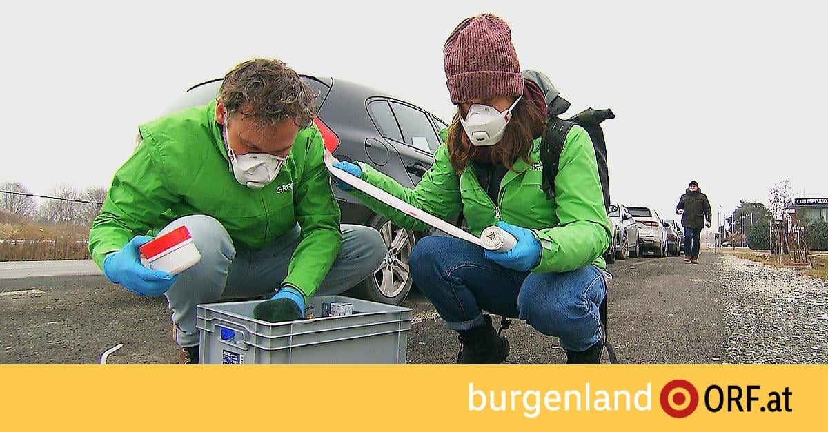 Greenpeace warnt vor massiver Asbestbelastung im Burgenland