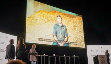 Mælkeproducent: Dansk landbrugs effektivitet er en illusion - den store animalske produktion er ekstremt ineffektiv