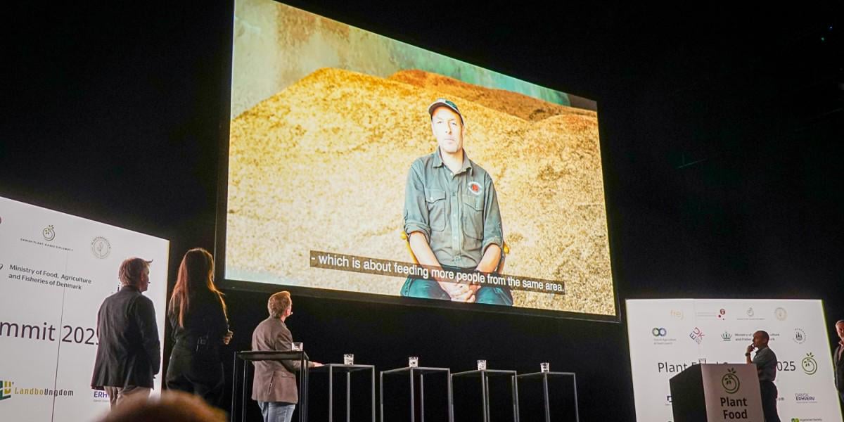 Mælkeproducent: Dansk landbrugs effektivitet er en illusion - den store animalske produktion er ekstremt ineffektiv