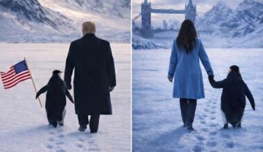 Reform mayoral candidate replicates Trump’s controversial Greenland penguin image