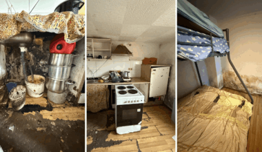 “There were rats biting children and adults”. Leased rooms closed in Dudelange