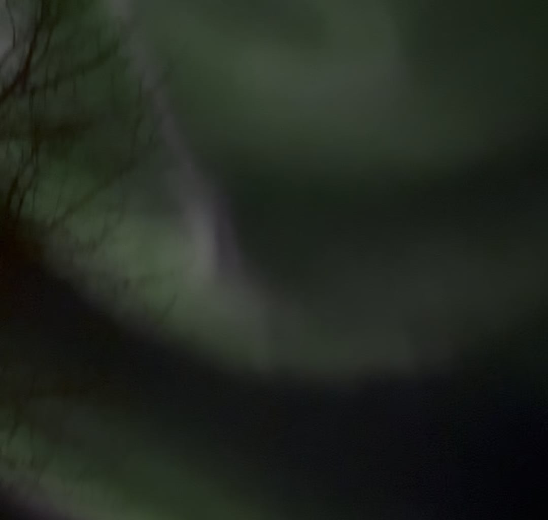 Gæi að missa sig yfir norður ljósum