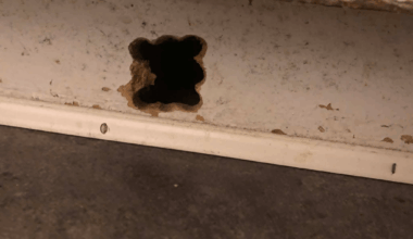 Har jag råttor? Bild inkluderat.