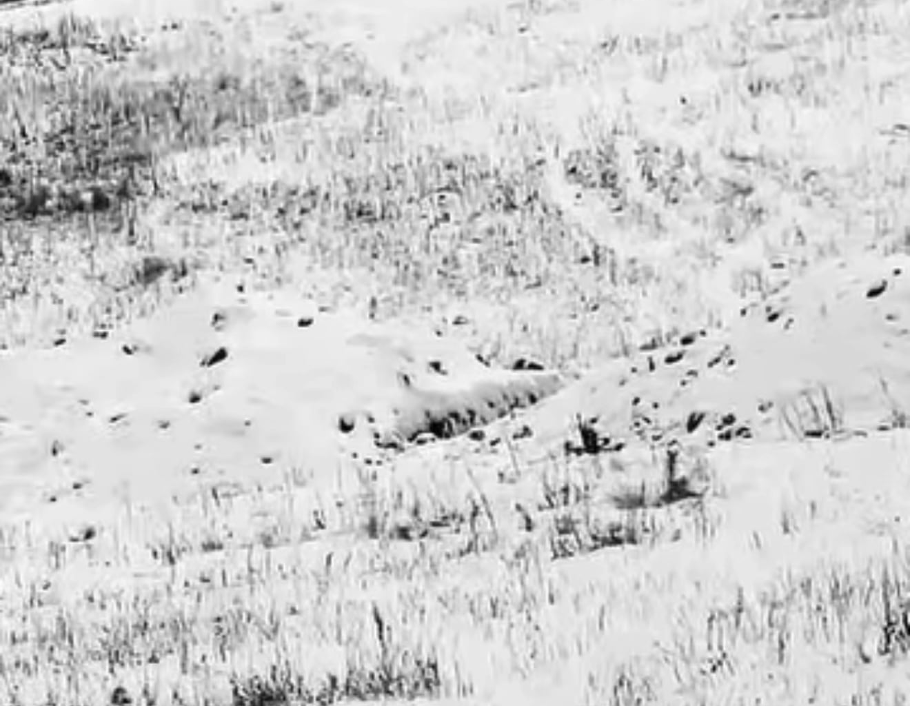 Friends, Ukrainian troops urgently need your support. We always work on the most critical issues. Let’s close this fundraiser—only a small amount remains. All details are in the description. Thank you for your help!