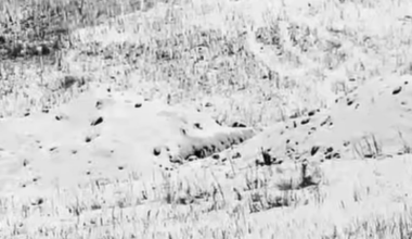 Friends, Ukrainian troops urgently need your support. We always work on the most critical issues. Let’s close this fundraiser—only a small amount remains. All details are in the description. Thank you for your help!