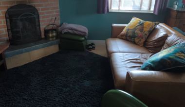 Pine Marten Neighbour in Leitrim