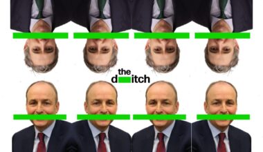 Martin cites organisation accused of academic failures