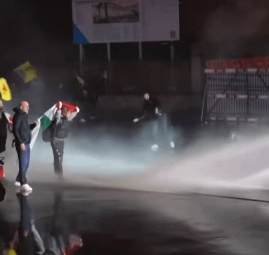 Thousands of protesters  in Davos, Switzerland - are these Swiss or they come from all Europe?