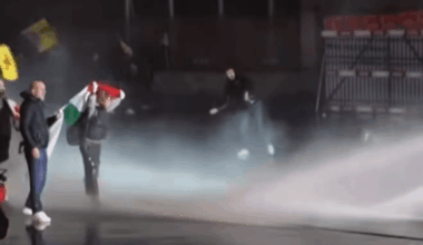 Thousands of protesters  in Davos, Switzerland - are these Swiss or they come from all Europe?