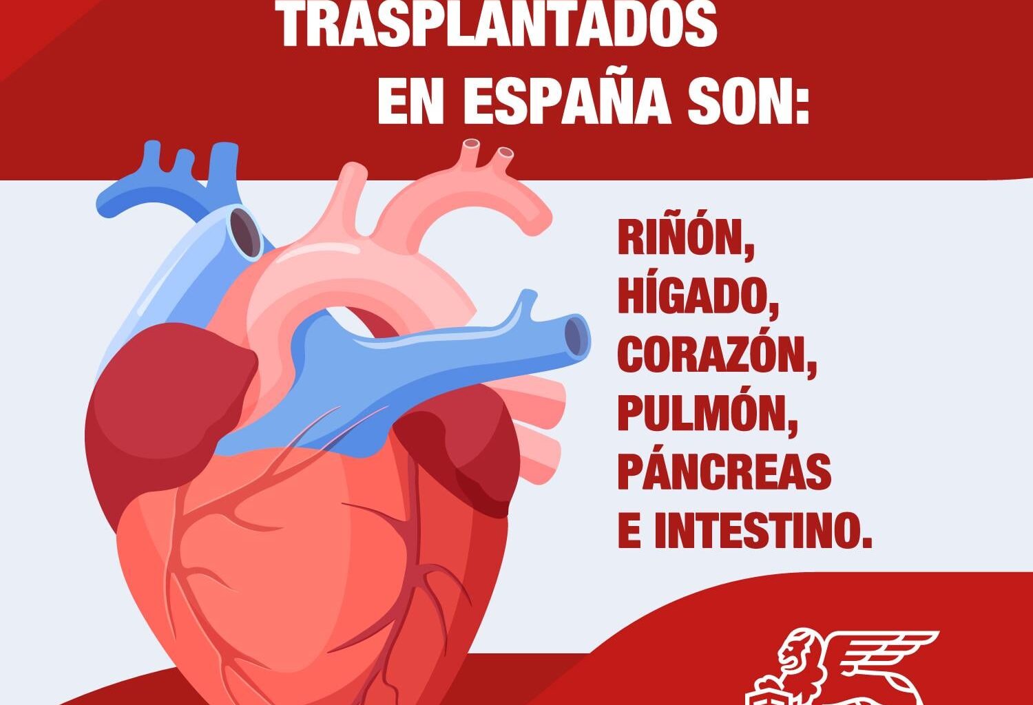España, más de 30 años como líder Mundial de donación de órganos 🧠⛑️