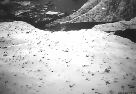 British aircraft attacking German shipping in Nordgulenfjord, Norway. 5 December 1944