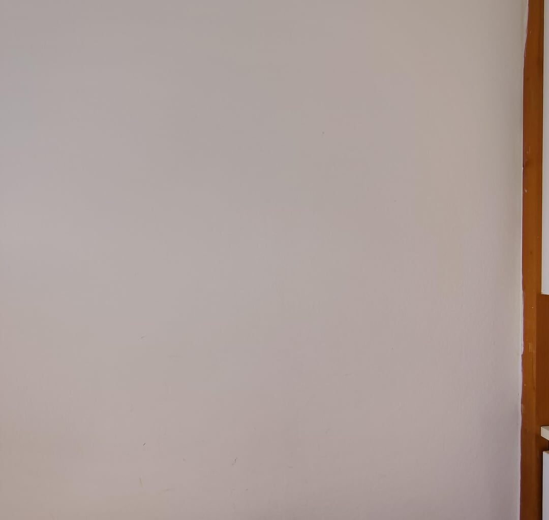 Is it the start of mold or something else?