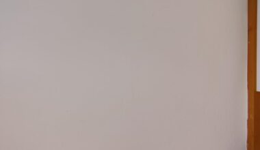 Is it the start of mold or something else?