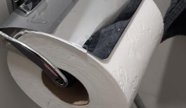 What's the metal shield on top of the toilet roll for?