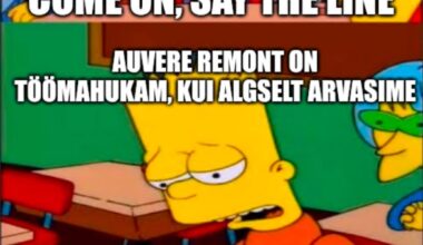 Meem mis on faktiline uudis