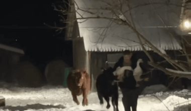 Very cold in Latvia right now