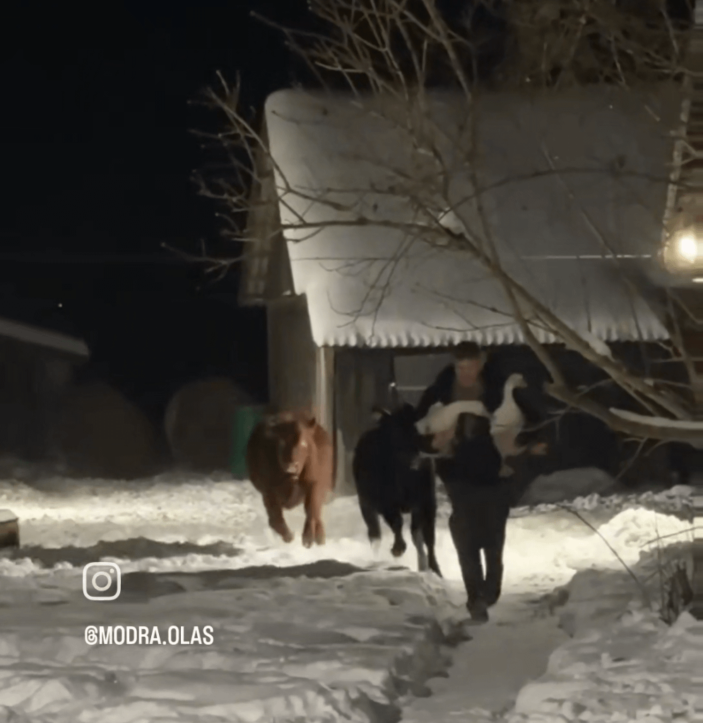 Very cold in Latvia right now