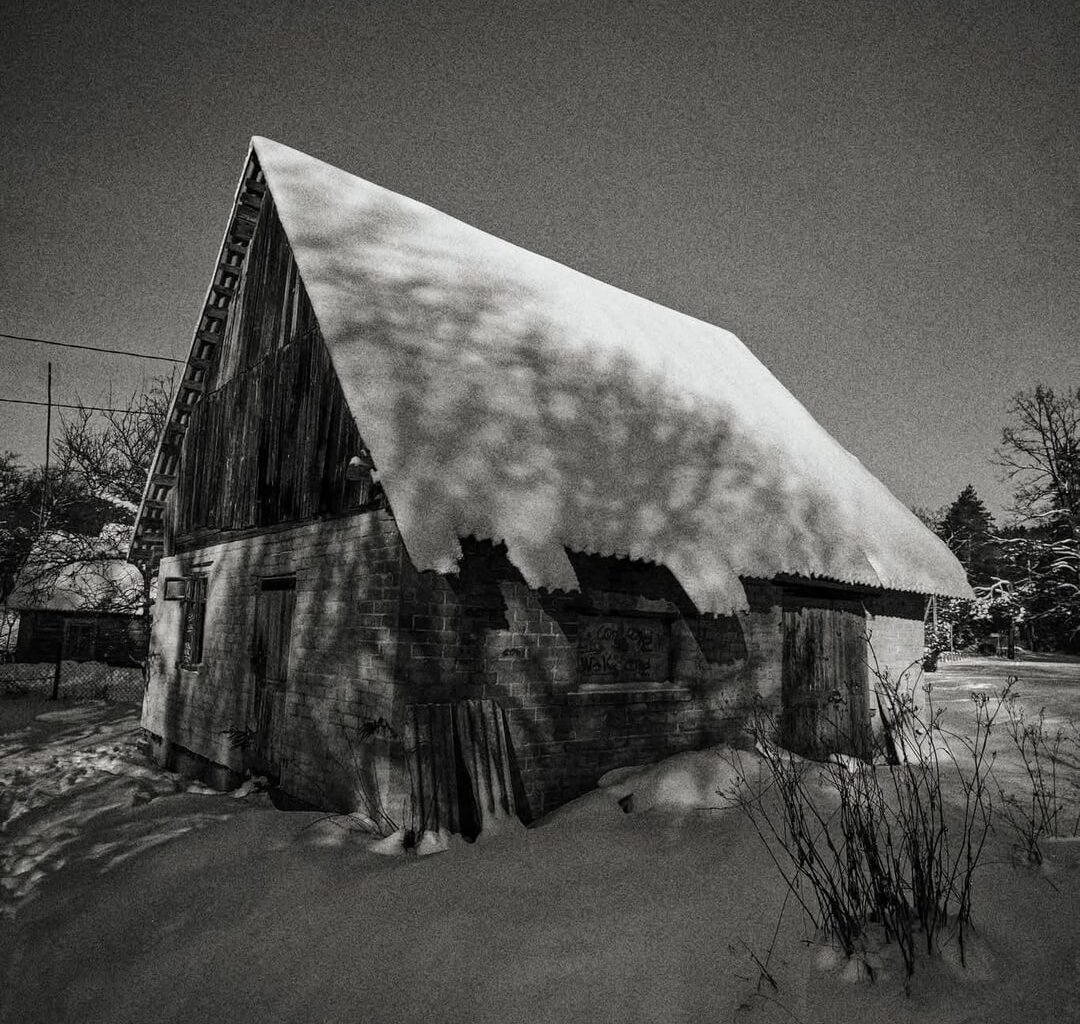Žiemužė žaliuosiuose ežeruose