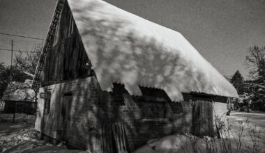 Žiemužė žaliuosiuose ežeruose