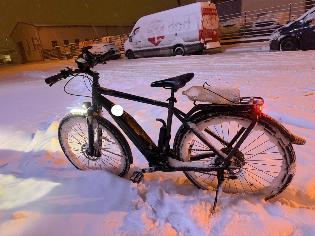 Waiting 5 years for snow. What do you think? ❄️