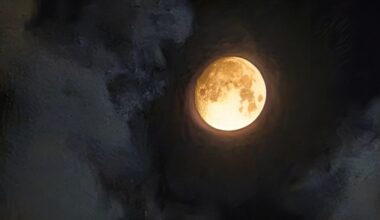 "Здравейте, земляни!"