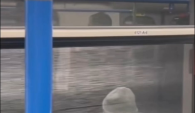 Olyan jó ezt hallani