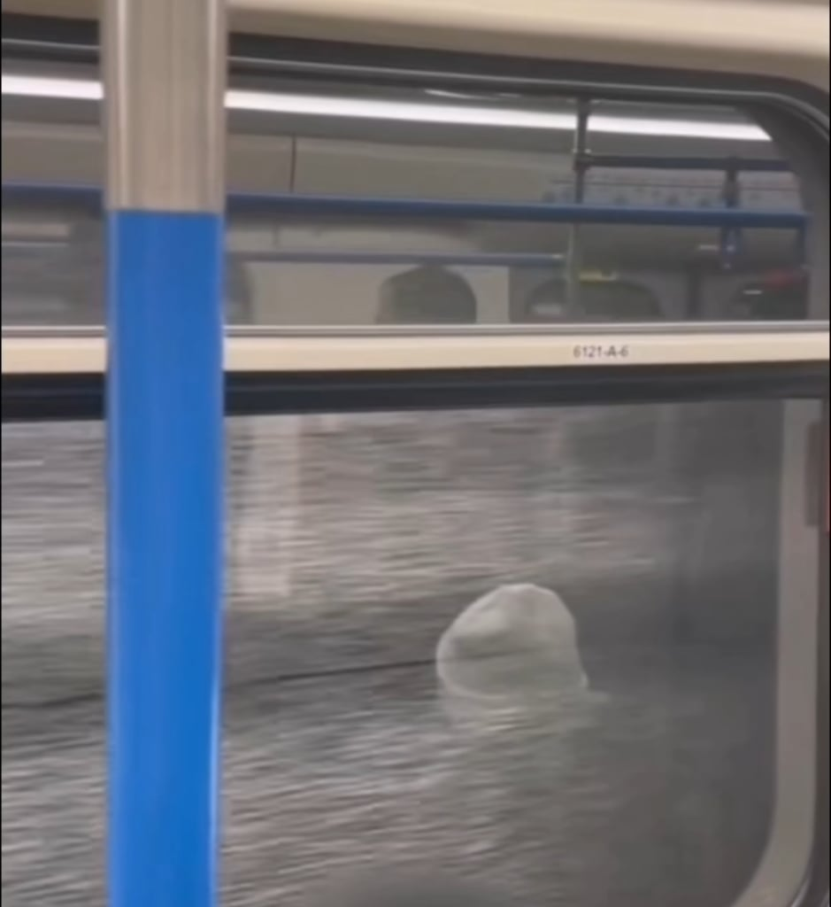 Olyan jó ezt hallani