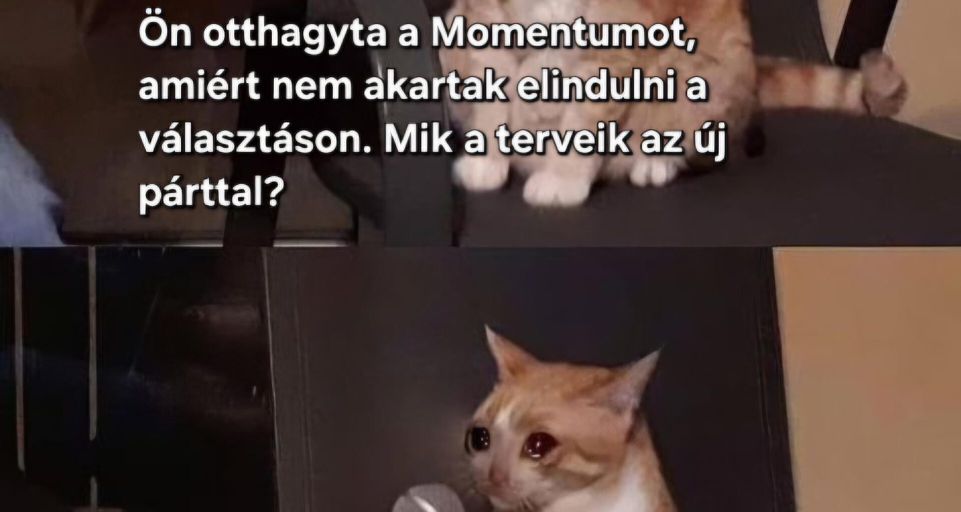 Humoristák