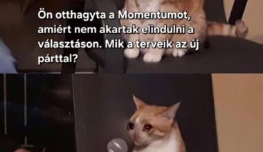 Humoristák