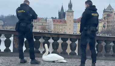 suspect arrested today in Prague