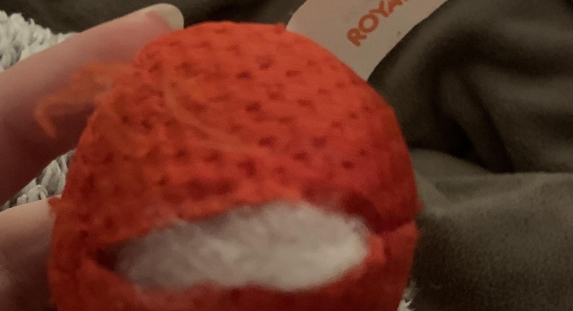 Någon som vet var jag kan köpa fler av denna kattleksak?