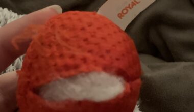 Någon som vet var jag kan köpa fler av denna kattleksak?