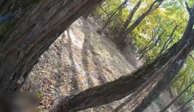 Archival footage of Ukraine’s SOF unit "Whiskey Squad" eliminating four russian soldiers on Ukrainian territory in close combat. Published 30.01.2026