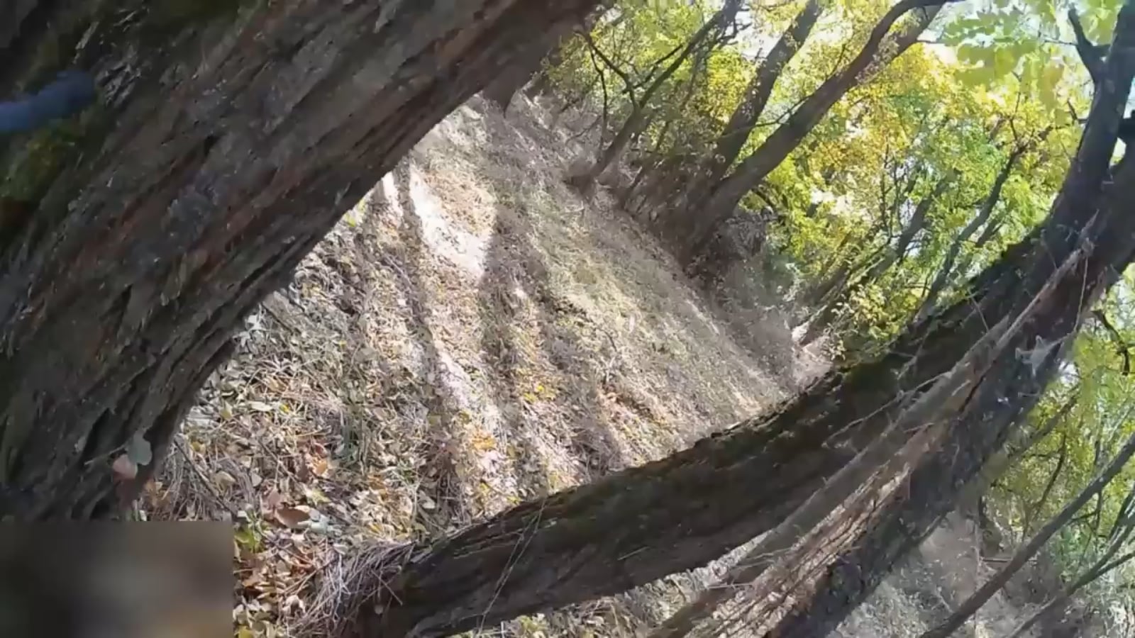 Archival footage of Ukraine’s SOF unit "Whiskey Squad" eliminating four russian soldiers on Ukrainian territory in close combat. Published 30.01.2026