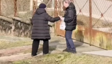 Fidszeszes vérnyugger VS Tiszás nyugdíjas aktivista. (Tippelj melyik az agressziv)