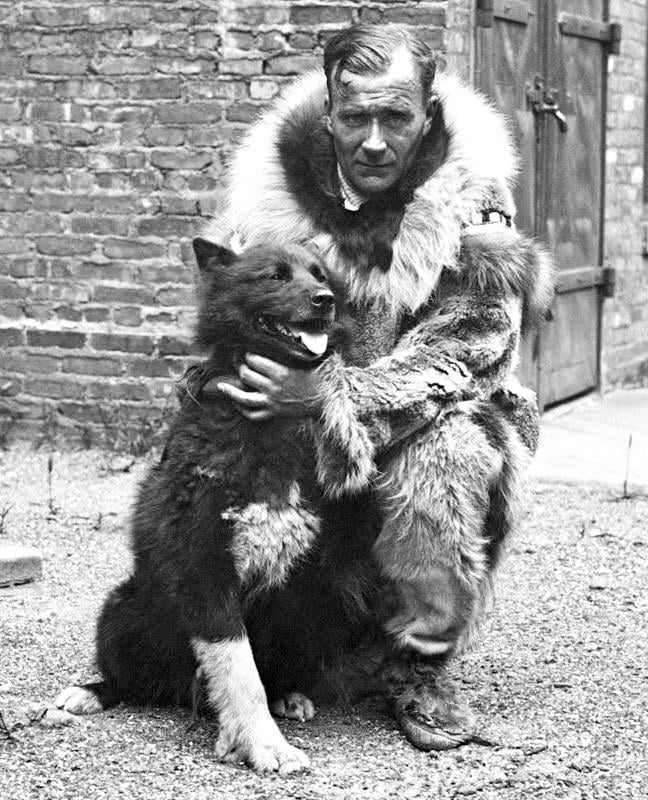 Gunnar Kaasen, a Norwegian musher and his lead dog Balto, who delivered diphtheria antitoxin to Nome, Alaska, saving the city from an epidemic, 1925
