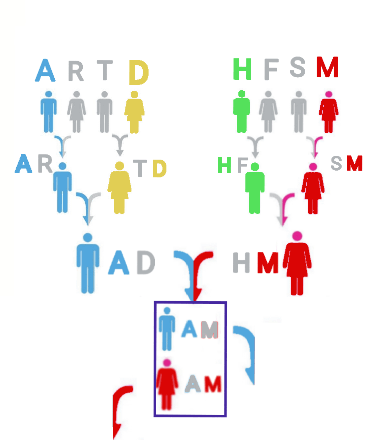 Apellidación simétrica