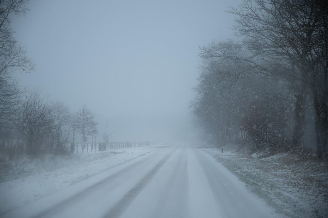 Het uitzicht vanuit MIJN kantoor afgelopen week.