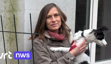 Conflict met aannemer maakt leven van Lut tot hel: "Huis dat ik mijn kinderen wilde nalaten, is niet eens herverkoopbaar" | VRT NWS: nieuws