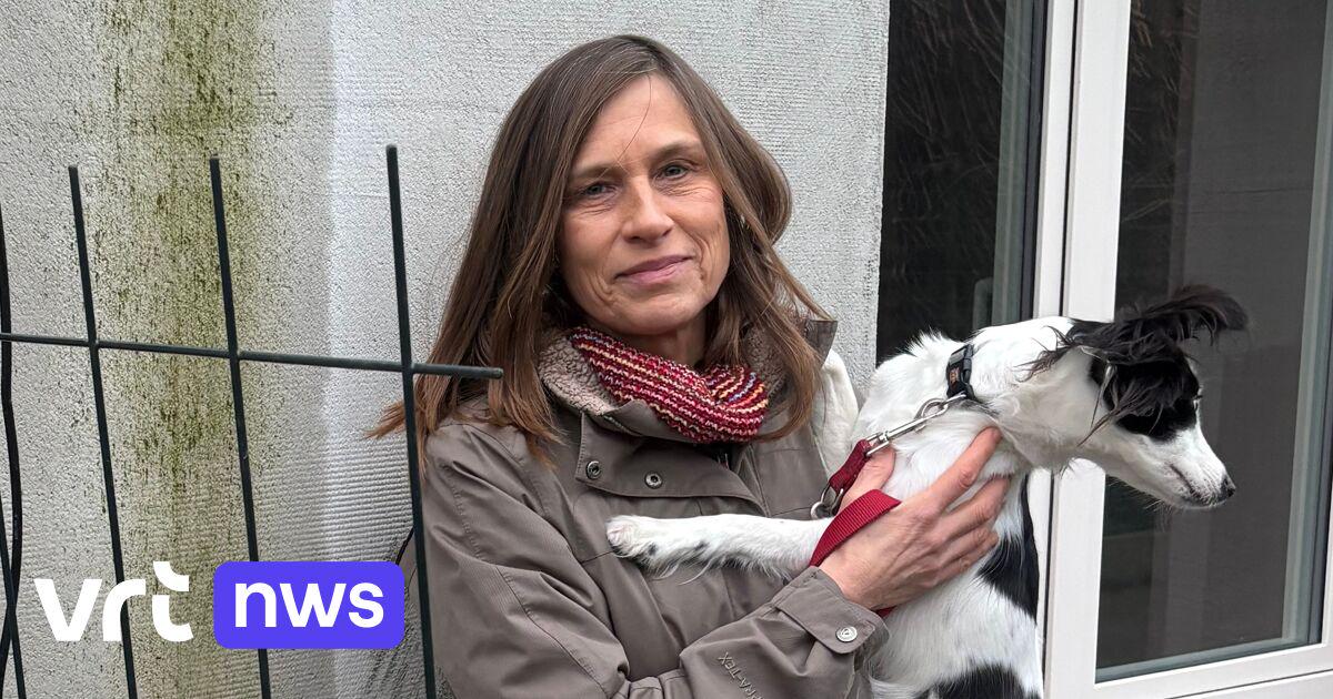 Conflict met aannemer maakt leven van Lut tot hel: "Huis dat ik mijn kinderen wilde nalaten, is niet eens herverkoopbaar" | VRT NWS: nieuws