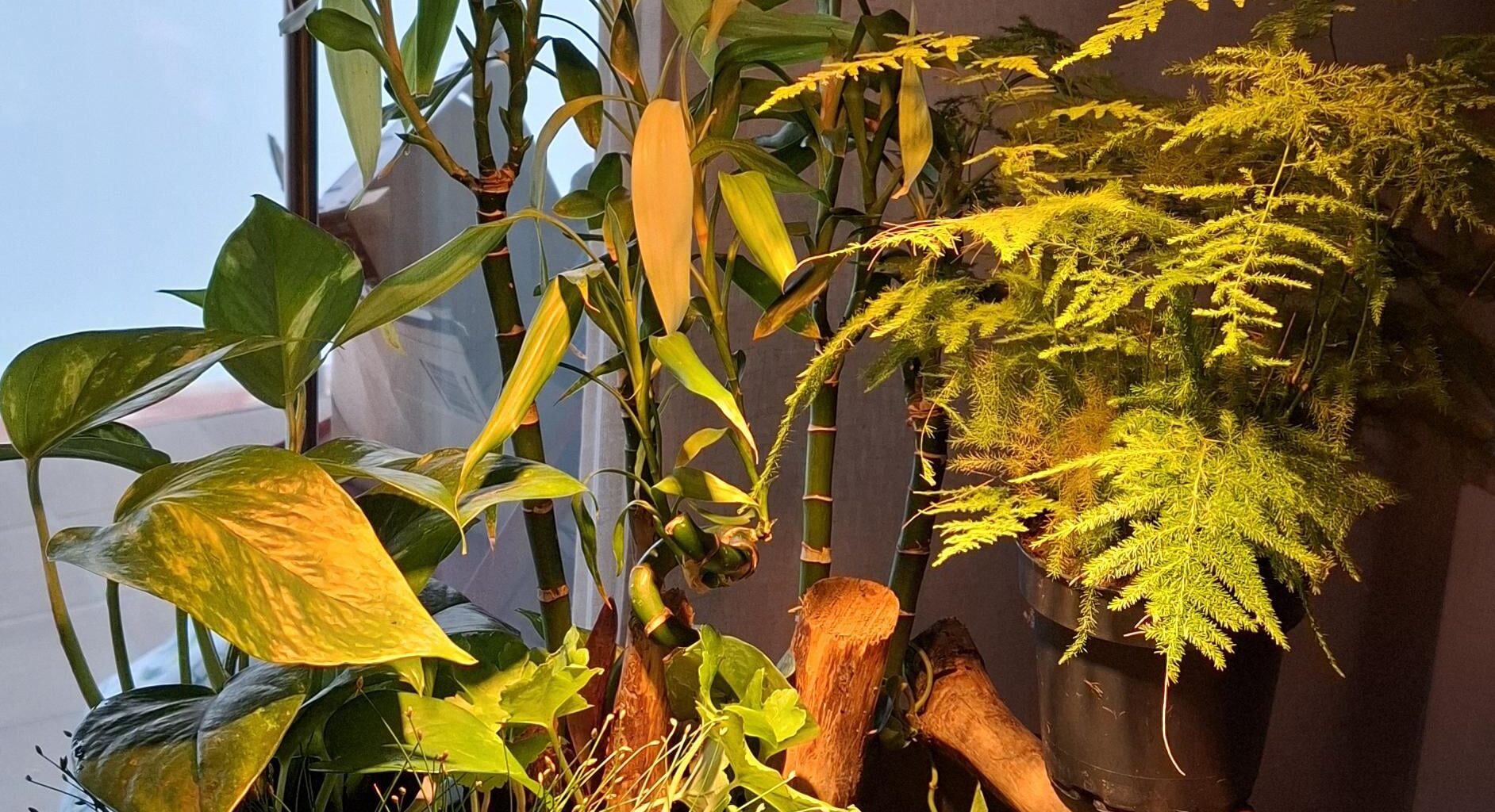 Echo de menos mi fuentecita diy... 🫩