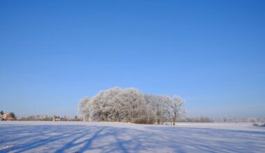 First winter in Germany felt magical