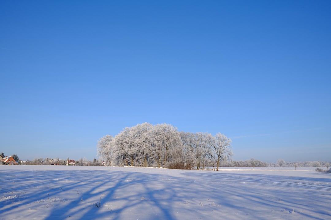 First winter in Germany felt magical