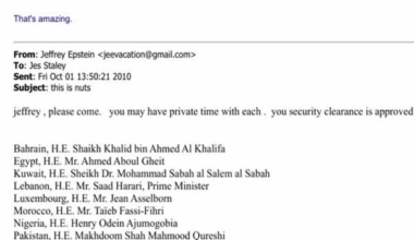 Antigo MNE de Sócrates, Luís Amado, aparece nos ficheiros de Epstein.